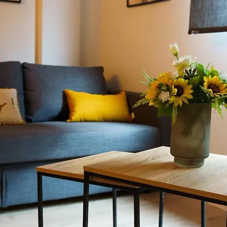 Apartment Encantador Piso A 7 Min De Salamanca By Bebalmy
